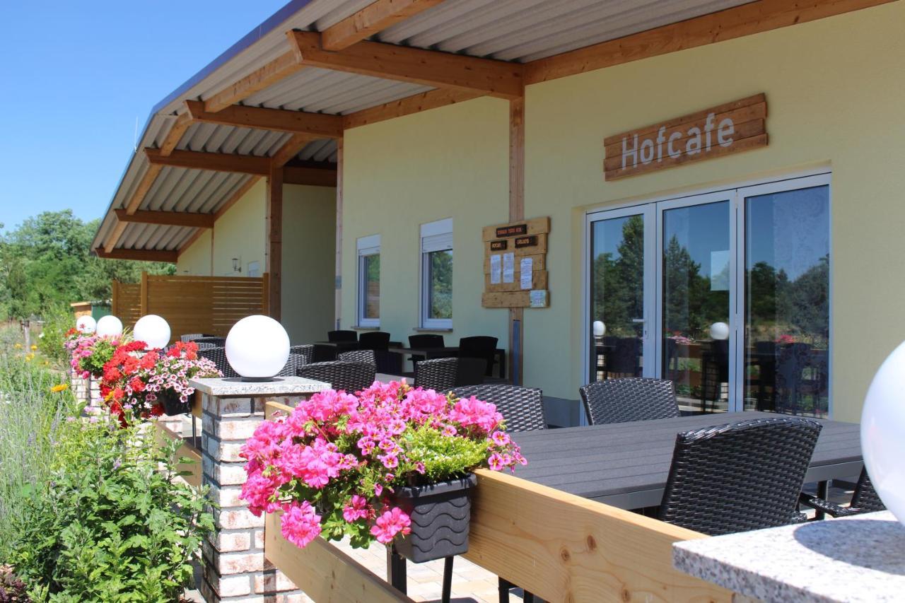 ElsterheideTorhaus Terra Nova别墅 外观 照片